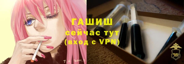 молекула духа Краснослободск