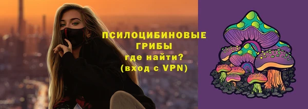 спиды Корсаков