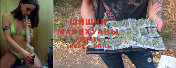 гашик Коряжма