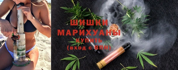 молекула духа Краснослободск