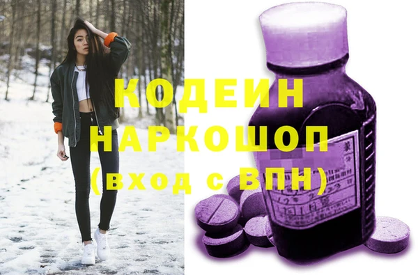 молекула духа Краснослободск