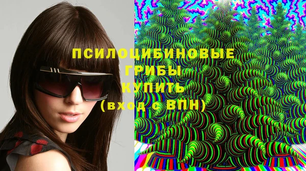 молекула духа Краснослободск