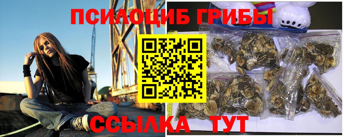 Черкесск  Галлюциногенные грибы GOLDEN TEACHER  Вход с VPN  Галлюциногенные грибы ЛСД 